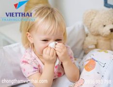 Nấm mốc là nguyên nhân gây bệnh hô hấp cho trẻ