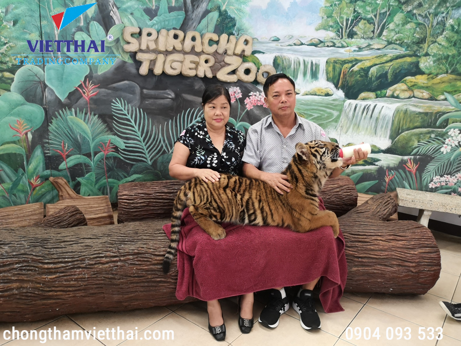 Cặp khách hàng cho hổ con ăn tại trại hổ