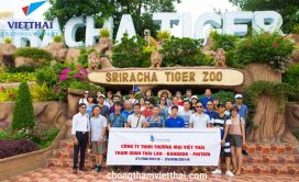 Đoàn Việt Thái háo hức với show diễn tại trại hổ